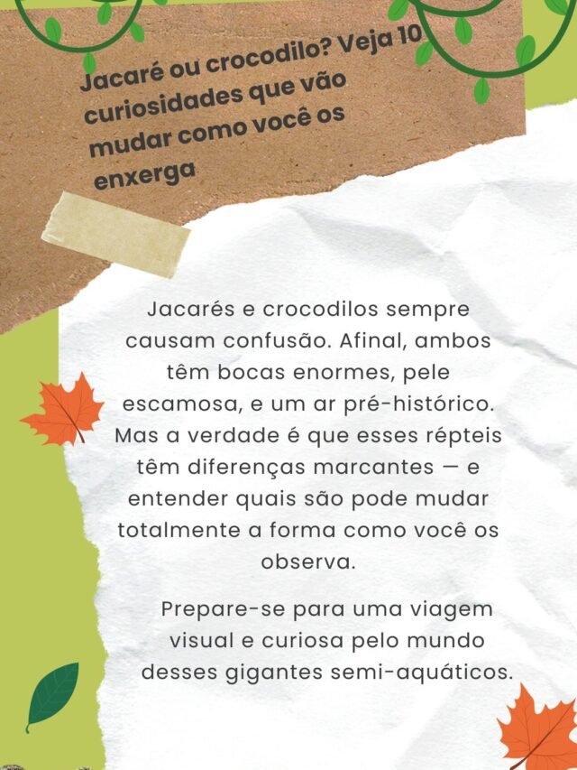 Você sabe quais as diferenças entre jacarés e crocodilos? Clique e confira!