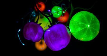 Frutas que brilham no escuro: conheça as delícias bioluminescentes da natureza